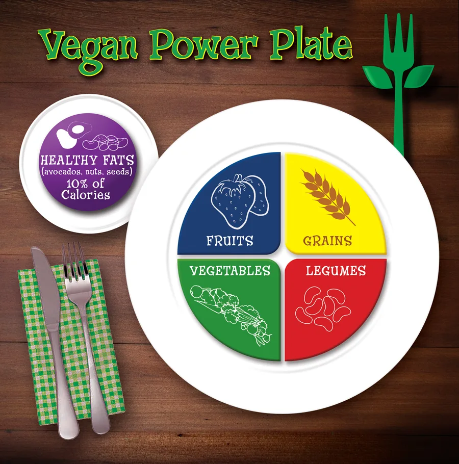 Vegan Power Plate for a Healthy Plant-Based Diet