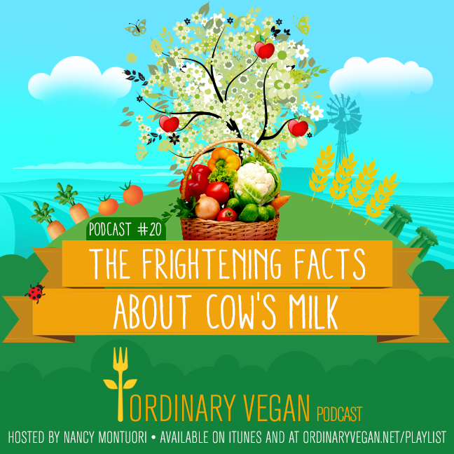 Discover the negative effects of drinking cow's milk on your body and the planet. (#vegan) ordinaryvegan.net