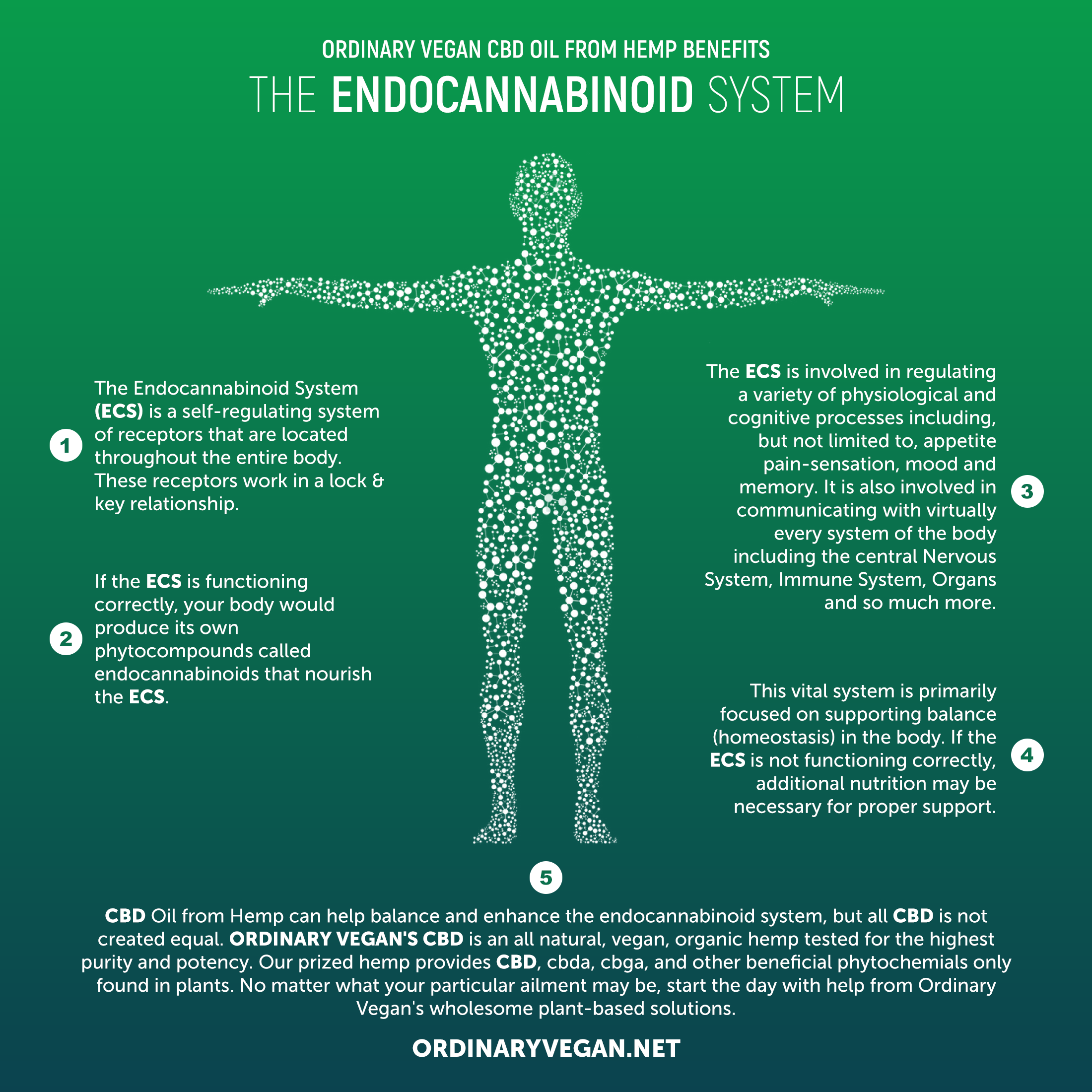 Pure CBD Oil To Benefit The Endocannabinoid System