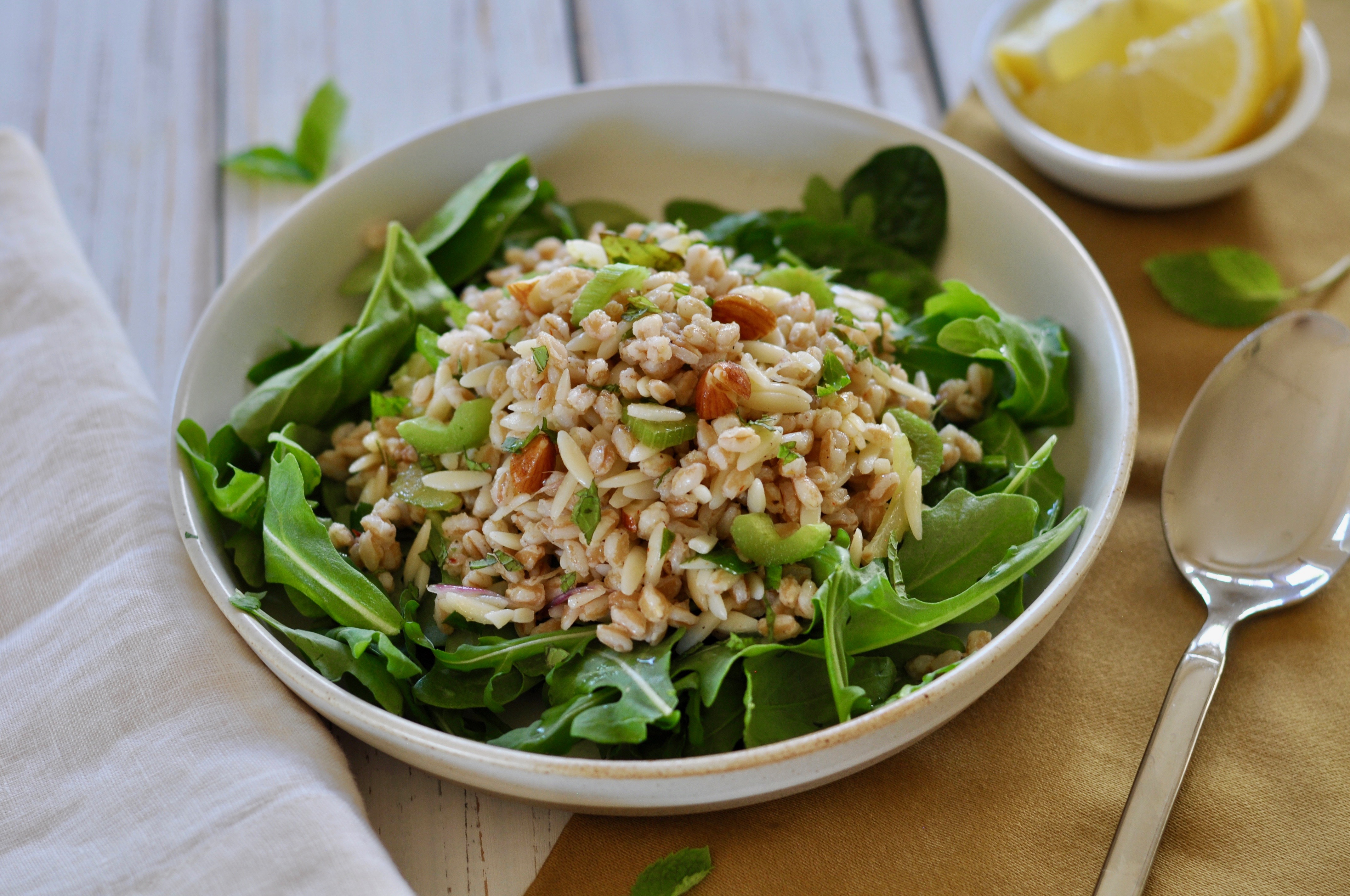 Vegan Farro Pasta Salad with Orzo, Almonds and Mint with Lemon Dressing